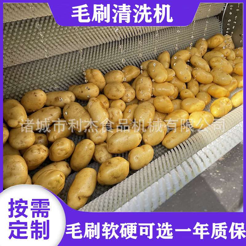 商用马蹄果清洗机 土豆去皮清洗设备 不锈钢红枣毛刷清洗机