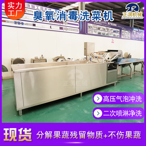 现货商用多功能青江菜清洗机