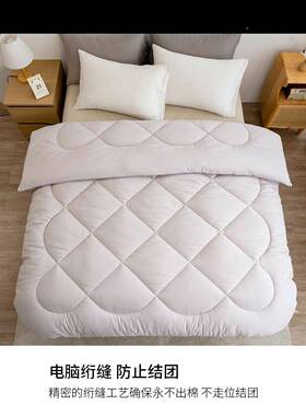 冬季超厚丝被子宿冬被加厚保12斤暖棉被学生舍单人QFP春秋太绵空