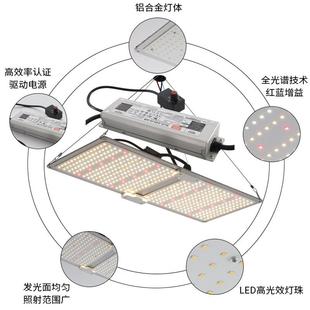 1734子板d植补光灯100W20量0W300W仿太阳全光谱花卉物le植物生长