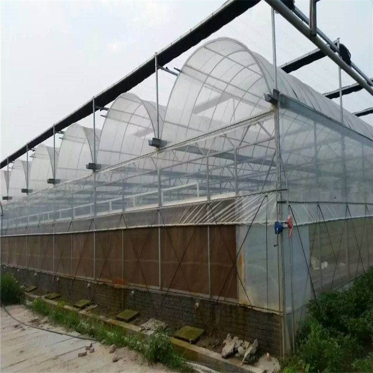 一体化智能PO膜温室草莓种植
