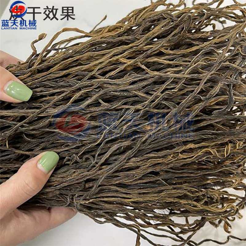 蓝天小型长豆角烘干机 扁豆角烘干一体机 电加热干豇豆烘干机设备