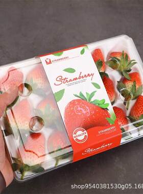 一盒次性草莓装纸盒塑料透包明盒15枚草莓托盘装防震托盘专用礼瓦