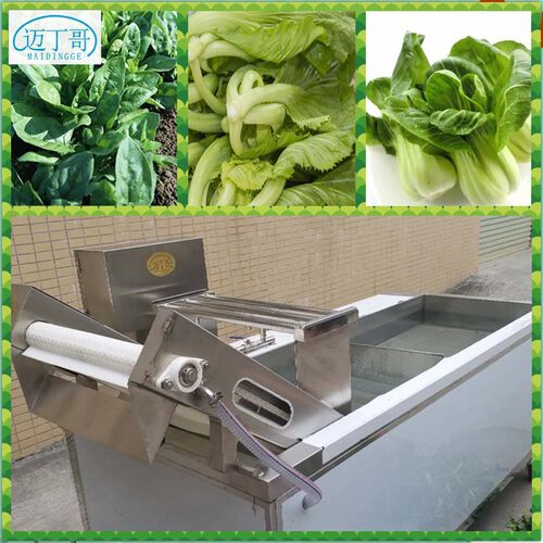 迈丁哥洗菜机 蔬菜清洗机自动 气泡喷淋清洗机