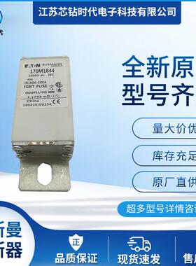 170M1845 170M1846 170M1847 巴斯曼BUSSMANN熔断器保险丝