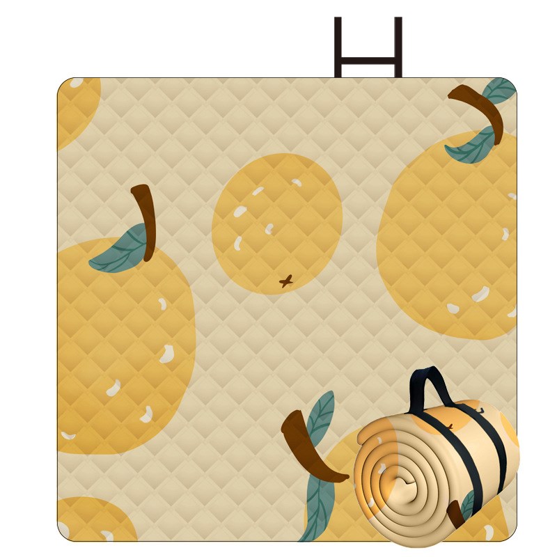 加厚户外防潮垫 户外用品野营垫野餐垫子沙滩防水不粘草