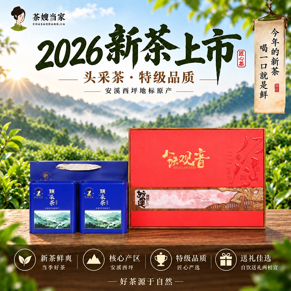 头采茶2026年新秋茶中秋送礼礼盒安溪铁观音袋装醇厚小泡装浓香型