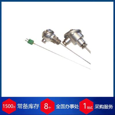 丹麦Lund&Sorensen防爆热电偶PT100-P工业化工温度测量