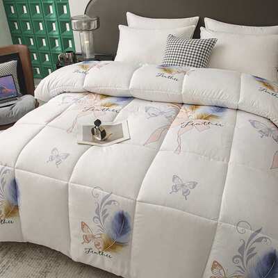 【直播供货】2024新款加厚保暖冬被羽丝被200cmX230cm5斤一件代发