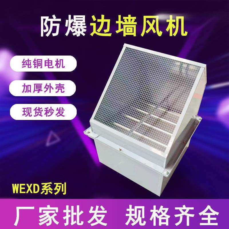 厂家直销防爆型边墙式轴流风机防鸟防爆纯铜电机排气排风机