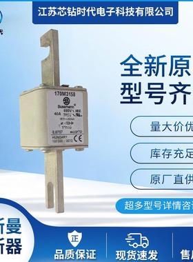 170M3161 170M3162 170M3163 巴斯曼BUSSMANN熔断器保险丝