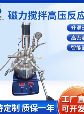 德正仪器 0.5L小型实验高压反应釜 TGFY-C-0.5不锈钢反应釜磁力搅