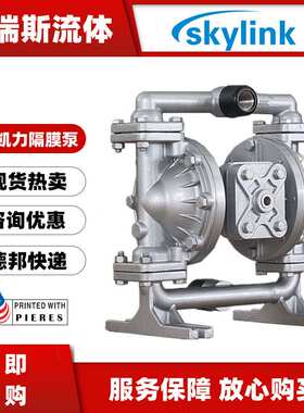 斯凯力气动隔膜泵LS15 AA-AA-T/N-TT-TT-00耐酸碱铝合金化工泵DN1