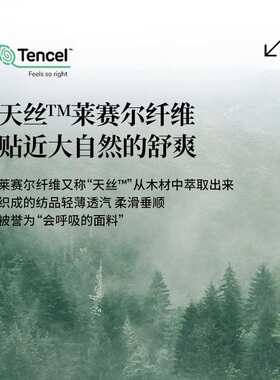 天丝夏季枕套双面真丝一对装高支冰丝凉整套48x74cm轻奢