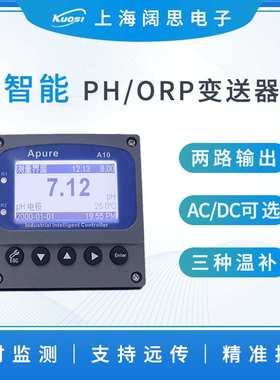 Apure在线PH/ORP控制器A10PR-SA1-CCEP工业酸度计ph计水质分析仪