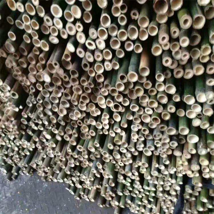 竹竿子搭架菜园竹片竹竿杆细竹条豆角黄瓜西红柿瓜果蔬菜爬藤架子