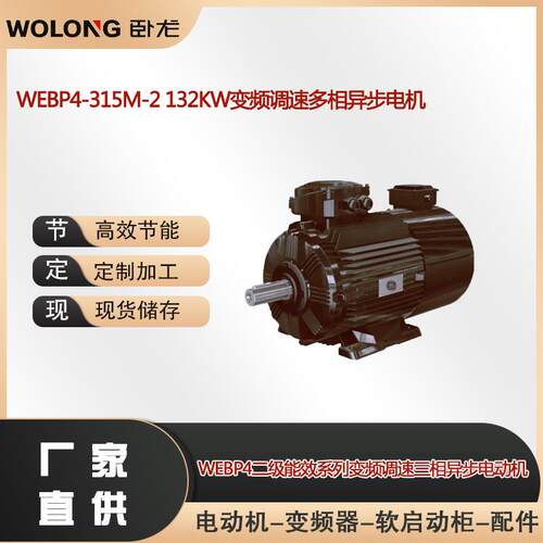 WEBP4-3551-2 355KW低振动三相异步电动机低噪声三相异步电动机