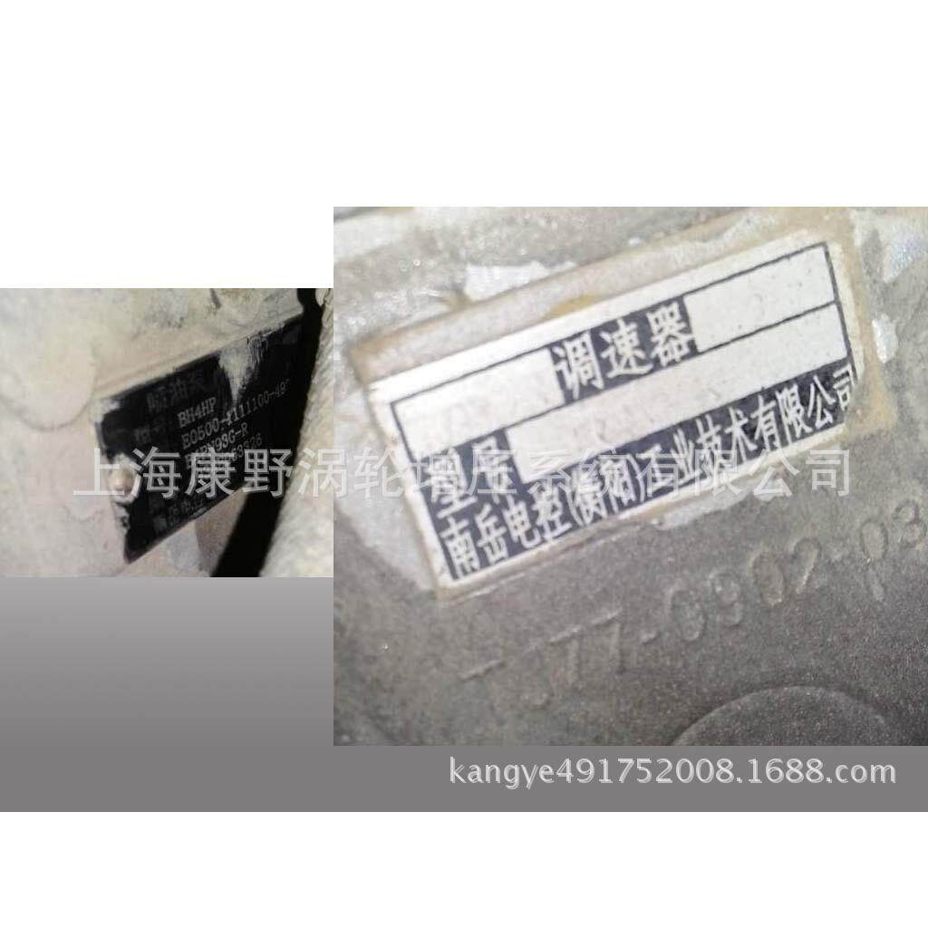 适用玉柴衡阳喷油泵BH4HP E0500-1111100-493 B4PN93G-R B4PN93G3
