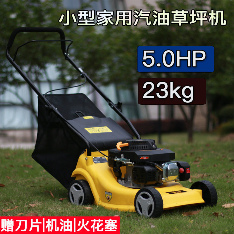 斯特克四冲程汽油草坪机手推式割草机器除草小型家用园林打草机械