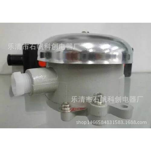 防爆电铃 BDL-125防爆电铃(IIB IIC级)36V 110V 220V警玲.