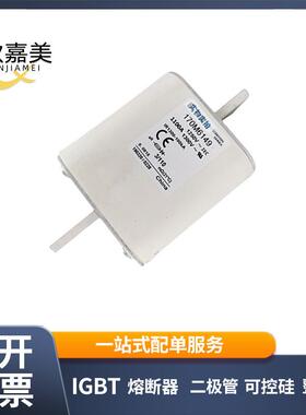 170M6149 170M6151 快速熔断器 保险丝 电子元器件 量大价优