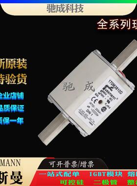 巴斯曼170M3810 170M3809 170M3811 长期销售价优 原装熔断器