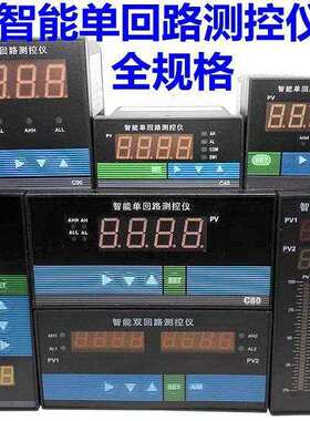 智能单回路数显控制仪 压力温度液位光柱显示控制仪 4-20ma 24V