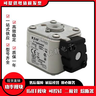 170M4514 170M4515 170M4516 170M4517 170M4518熔断器170M4519