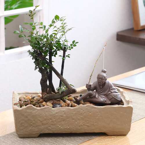 梵古陶瓷花盆摆件套装粗陶植物园艺盆栽景器皿姜太公摆件订制