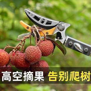 高枝剪伸缩摘果剪高空剪摘果高空果枝剪采摘剪高空采摘柿康