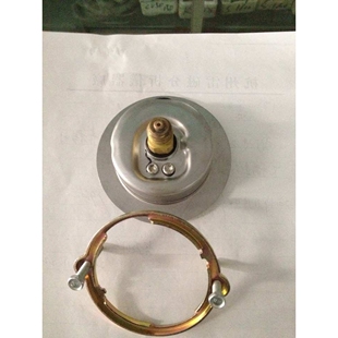 泰科斯压力表tecsis牌 YN60ZT 2.5 25 40 60MPA 60MM 100MM