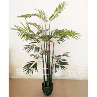 新款仿真树仿真绿植室内盆栽中小型散尾葵盆景办公室装饰绿植绿艺