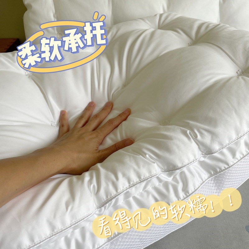 新款花朵双层敲高羽丝绒枕高软枕头绣花刺绣枕芯云柔枕可机洗