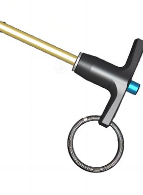 Carr Lane T型球头快卸销 直径3/16有效夹持长2 CL-3-BLPT-2.00