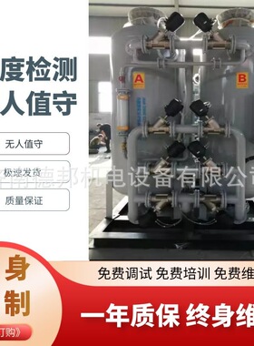 山东工业制氮机制氮设备PSA制氮机化工煤矿氮气发生器高效分体式