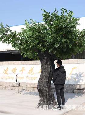 致云生产仿真桂花树酒店户外景观装饰花树绿色植物盆景人造桂花树