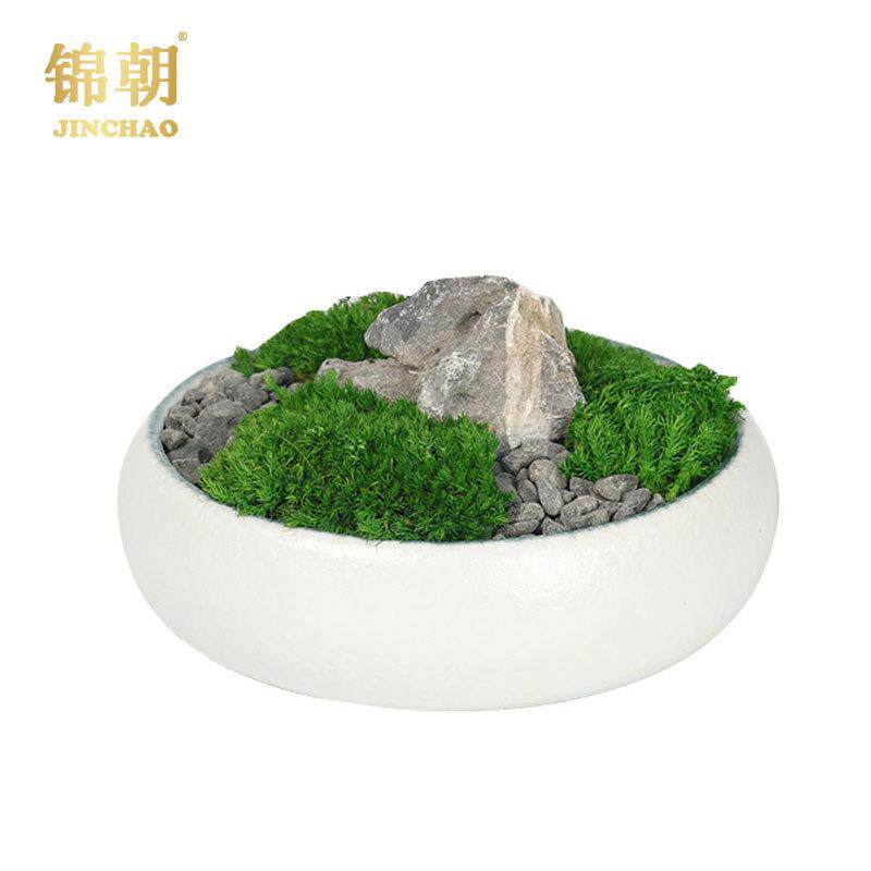 现代简约花艺盆栽造景苔藓摆件家居样板房间客厅茶几软装饰品