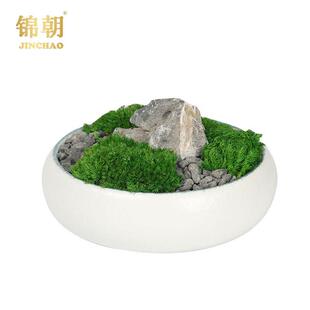 现代简约花艺盆栽造景苔藓摆件家居样板房间客厅茶几软装饰品