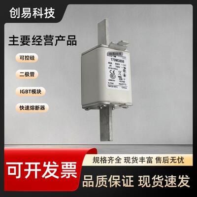 170M3808170M3809170M3810170M3811170M3812170M3813熔断器