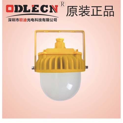 60W50WBPC8767LED防爆平台灯BPE8767LED应急防爆平台灯