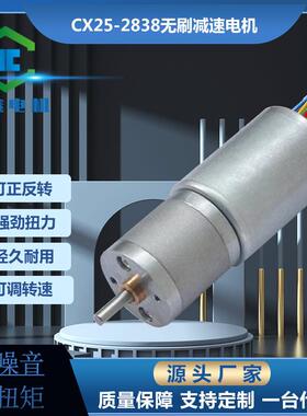 厂供25-2838无刷12V24V内置驱动霍尔低噪音微型直流减速电机马达