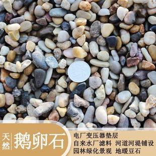 天然鹅卵石变压器污水处理地暖豆石滤料水池河道园林造景铺路石头