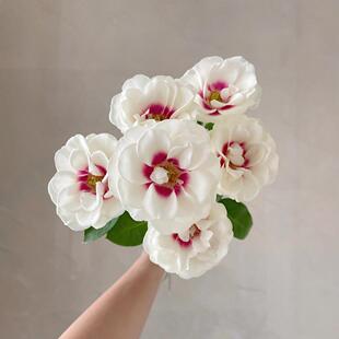 德芮尔桥边之约单头玫瑰云南新鲜玫瑰花鲜花