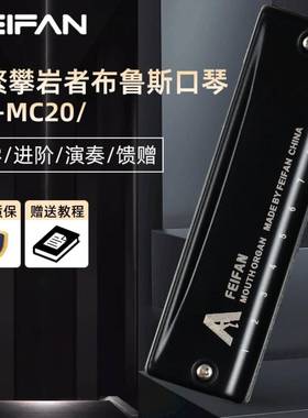 FEIFAN飞繁十孔攀岩者C调布鲁斯口琴MC20初学者入门专业演奏口琴