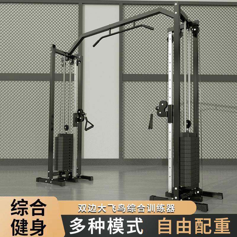 大飞鸟龙门架训练器家用健身一体机商用小飞鸟综合训练器械引体