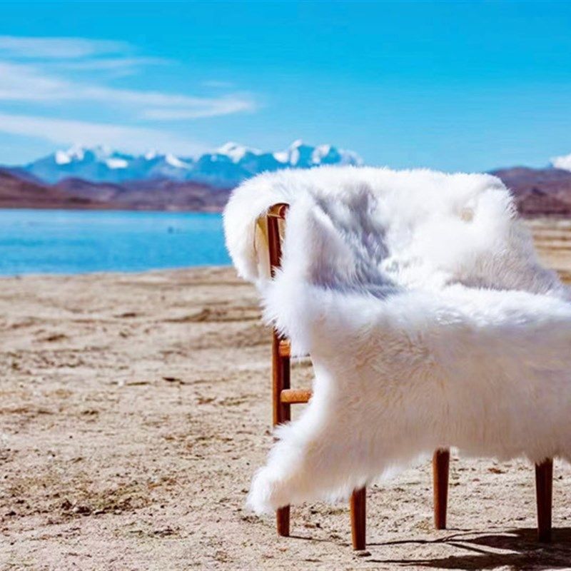 西藏礼物西藏羊毛坐垫羊皮垫整张雪羊皮沙发垫地毯御寒保暖加厚