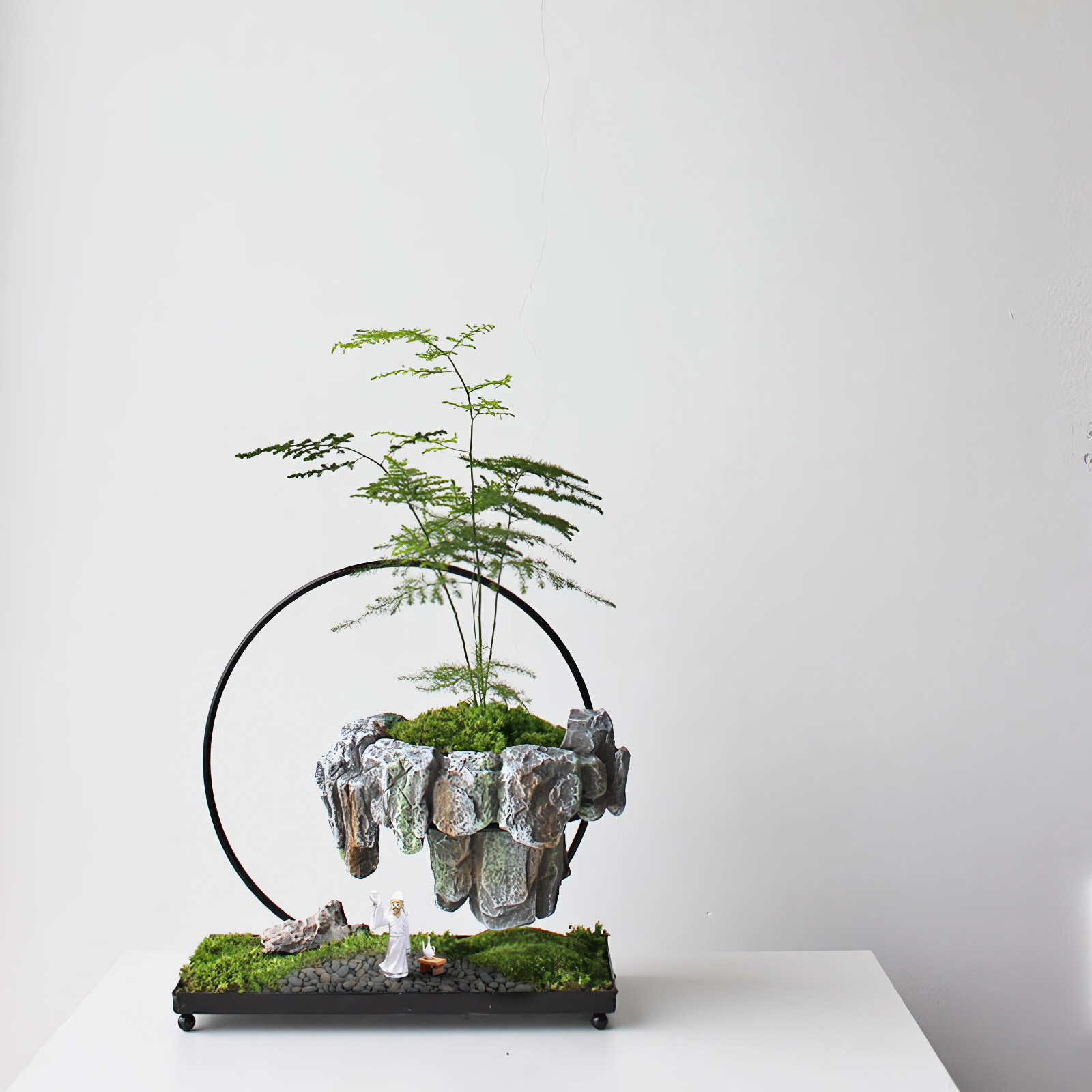 文竹盆栽悬浮绿植发财树室内玄关艺术摆件办公室桌面微景观盆景