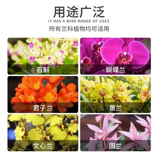 德沃多峨眉山仙土颗粒兰花植料多肉盆景君子兰墨兰石斛营养土基质