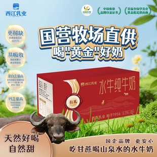 西江乳业水牛奶纯牛奶儿童牛奶学生营养早餐奶200g 20盒