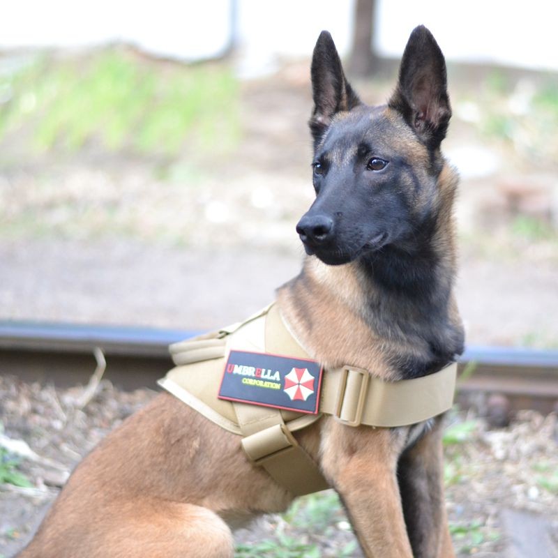 遛狗战术牵引绳胸背带中大型犬K9背心式牵引套装德牧金毛马犬套背